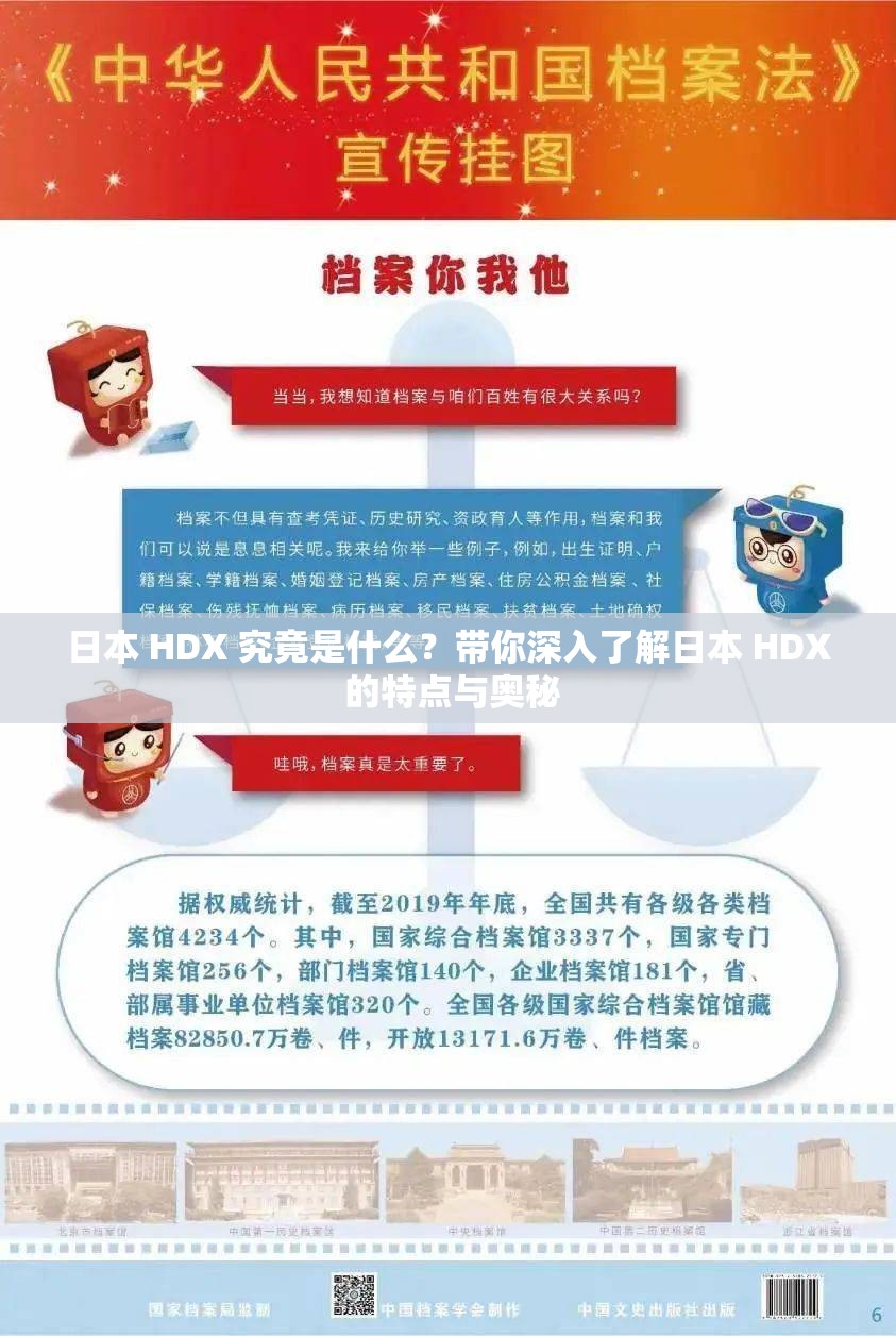 日本 HDX 究竟是什么？带你深入了解日本 HDX 的特点与奥秘